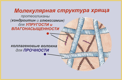 Глюкозамин, Хондроитин, Коллаген_ММА_Тренировки_Киев.jpg