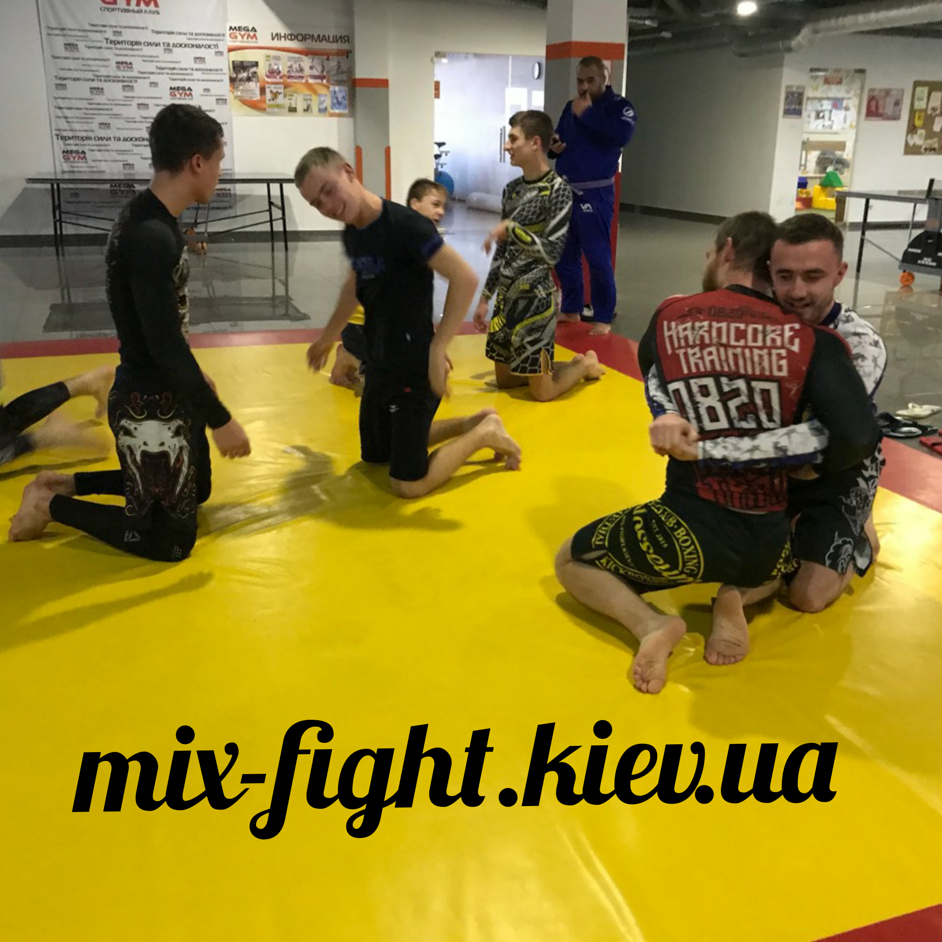 ММА Киев 133 mix-fight.kiev.ua.jpg